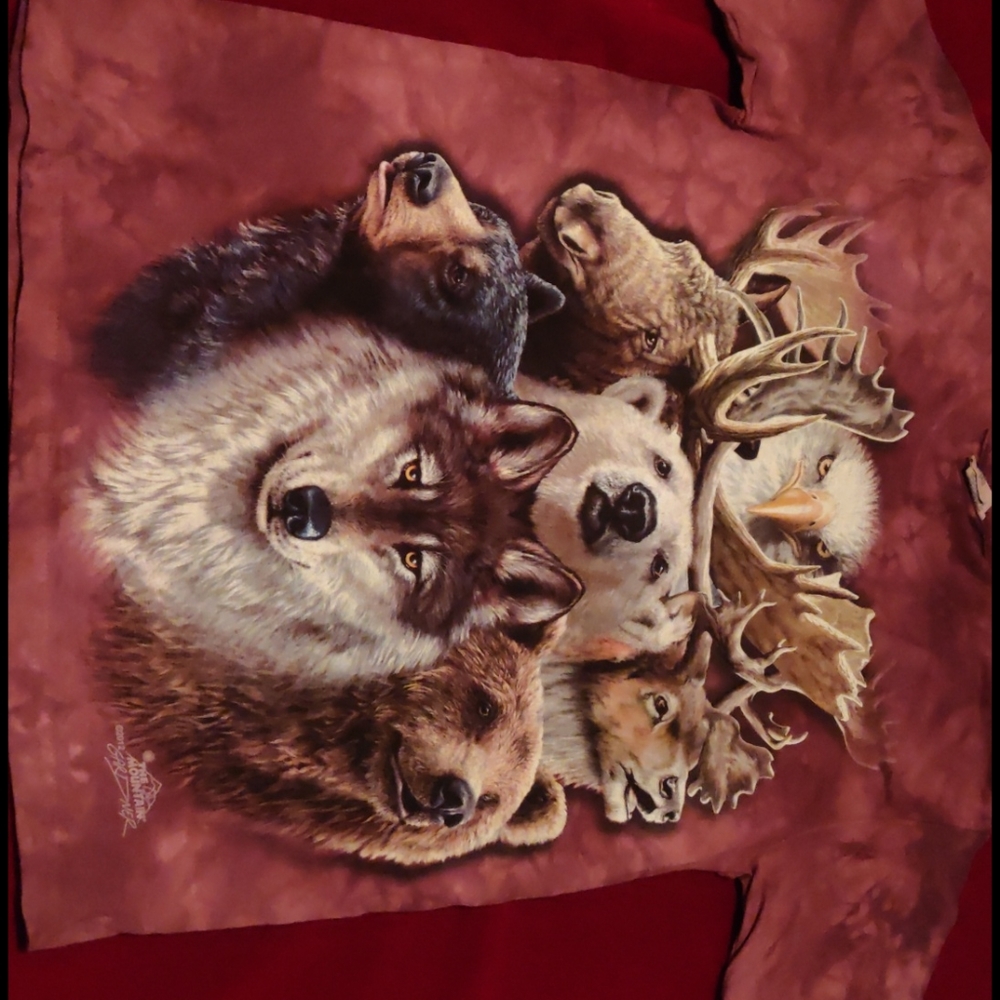 The Mountain t-shirt